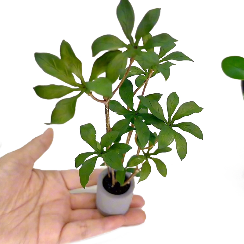 Bonsai Garden Accessories - Modelo de plantas en maceta en
