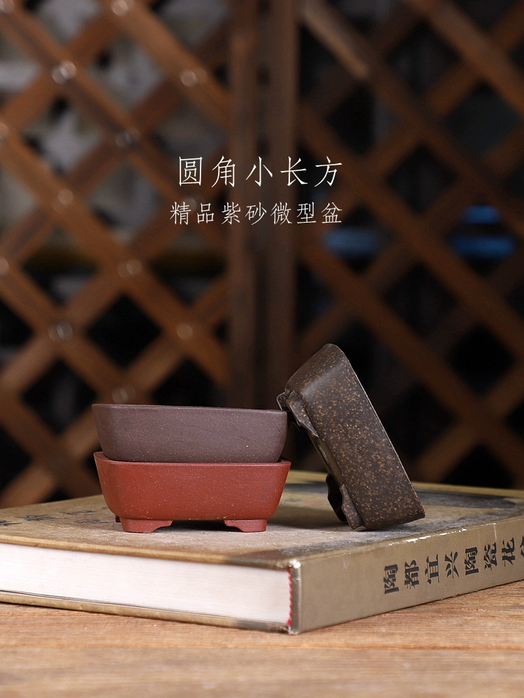 Bonsai Garden Chinese Garden - Maceta para bonsái rectangular de ángulo