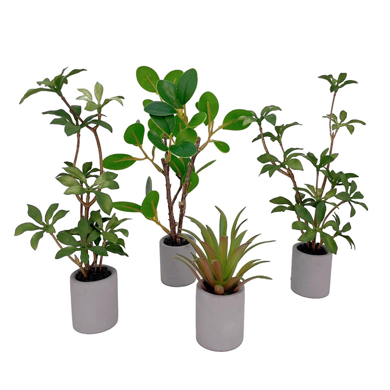 Modelo de plantas en maceta en - Bonsai Garden Accessories reseña y precio