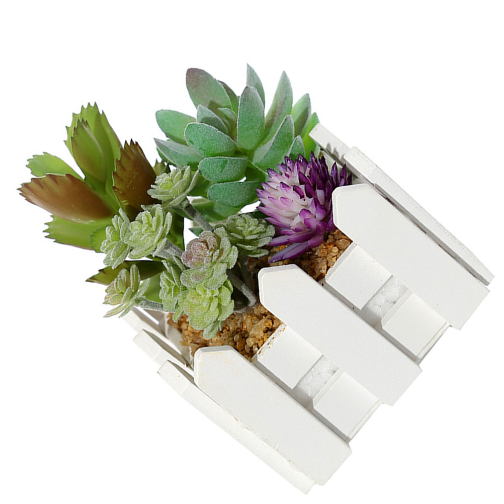 Plantas Suculentas en Maceta d - Bonsai Garden Restaurant reseña y precio