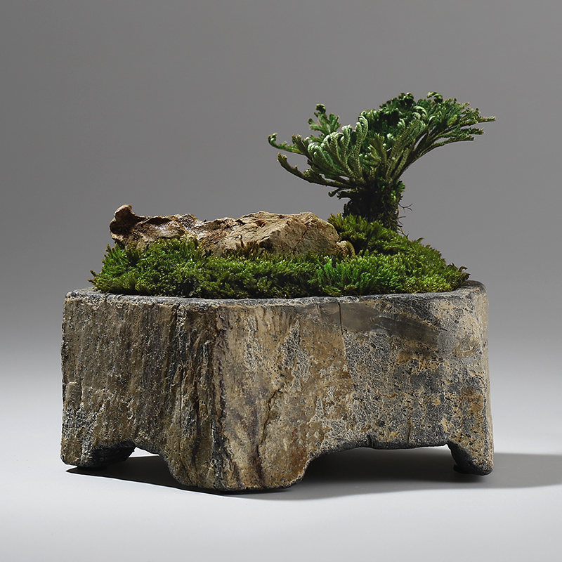 Maceta de Piedra Natural de Ba - Bonsai Garden Chinese Garden reseña y precio
