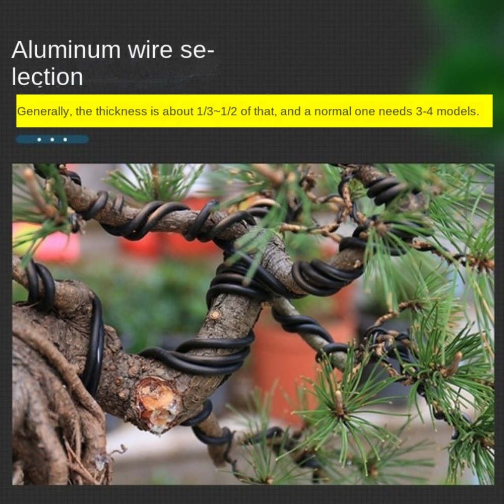 Alambre de Aluminio para Bonsá - Bonsai Garden Accessories reseña y precio