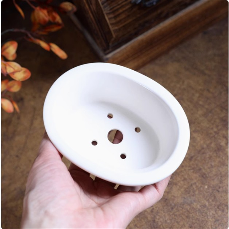 Maceta de bonsái ovalada blanc - Bonsai Garden Chinese Garden reseña y precio