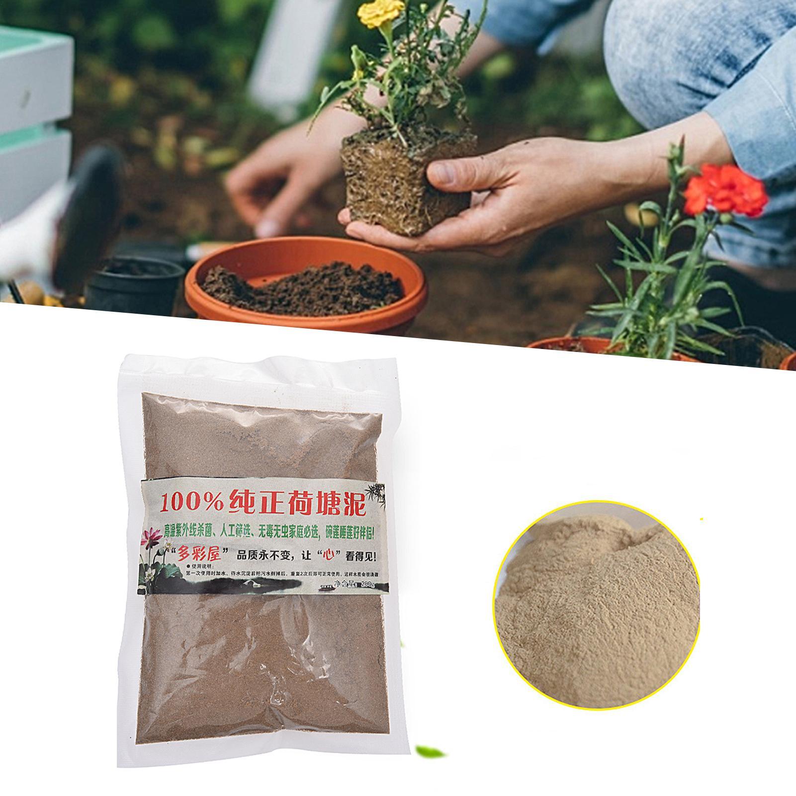 Lodo Natural de Loto para Jard - Bonsai Garden With Pond reseña y precio
