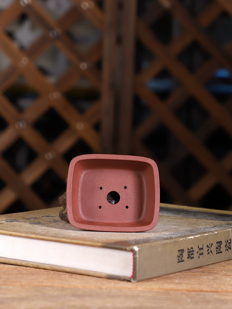 Maceta para bonsái rectangular - Bonsai Garden Chinese Garden reseña y precio