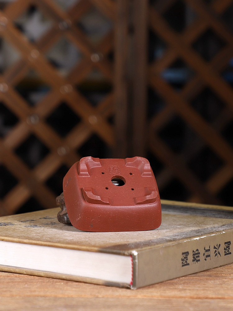 Maceta para bonsái rectangular - Bonsai Garden Chinese Garden reseña y precio