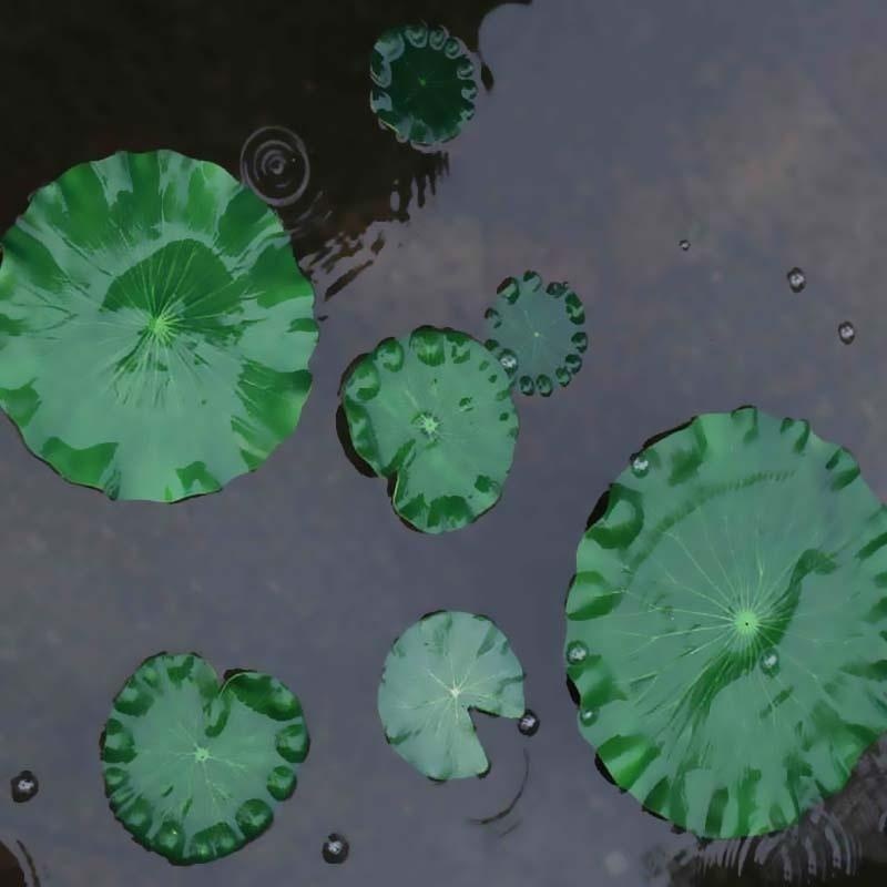 Hojas de Loto Artificiales 202 - Bonsai Garden With Pond reseña y precio