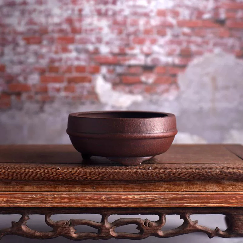 Maceta de bonsái de cintura ci - Bonsai Garden Chinese Garden reseña y precio