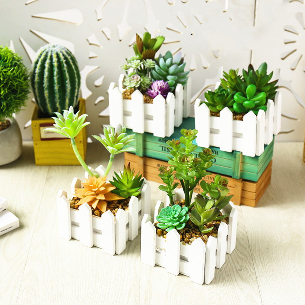 Macetas de suculentas artifici - Bonsai Garden Restaurant reseña y precio