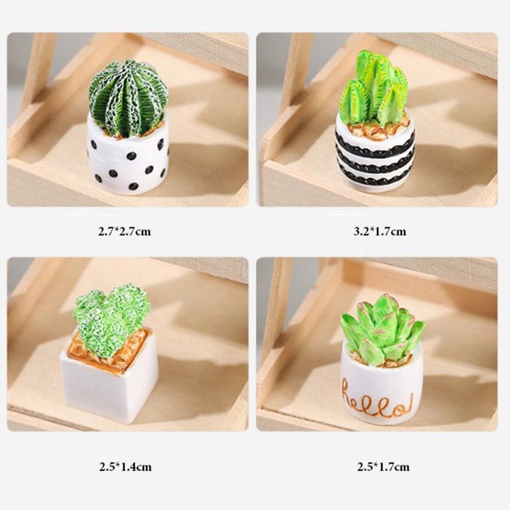 Planta en maceta en miniatura  - Bonsai Garden Accessories reseña y precio