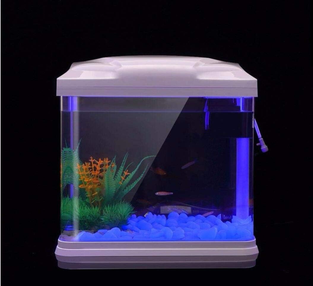 Rocas para pecera, guijarros a - Bonsai Garden Accessories reseña y precio