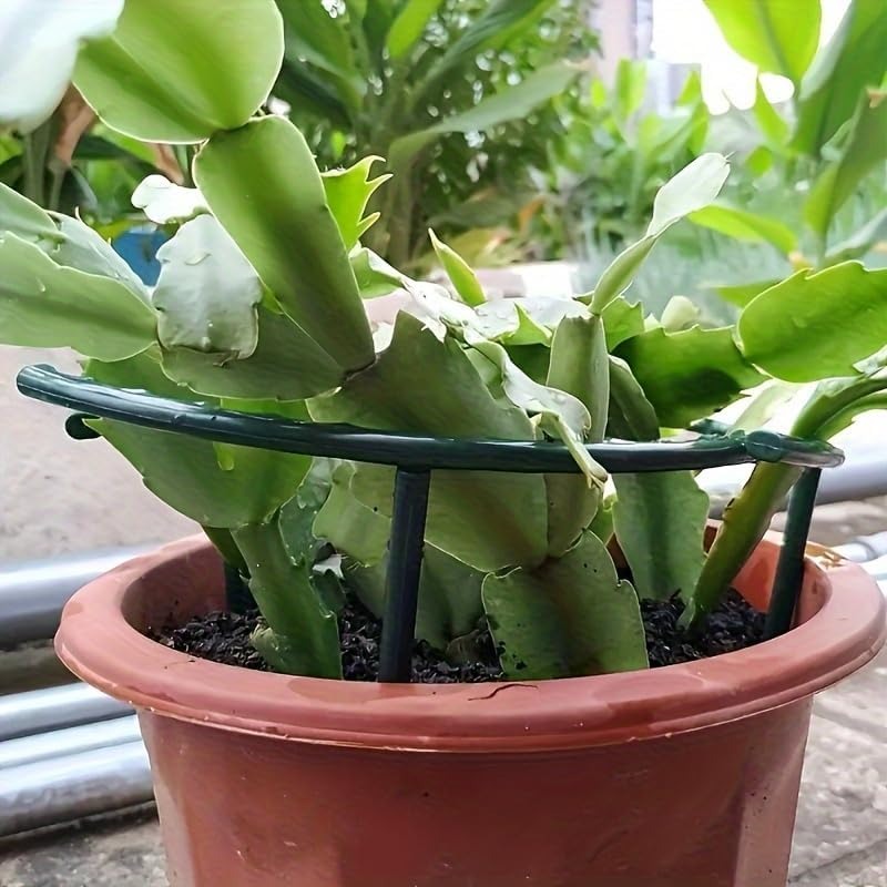 30-1PCS Soporte de Plástico Se - Bonsai Garden Accessories reseña y precio