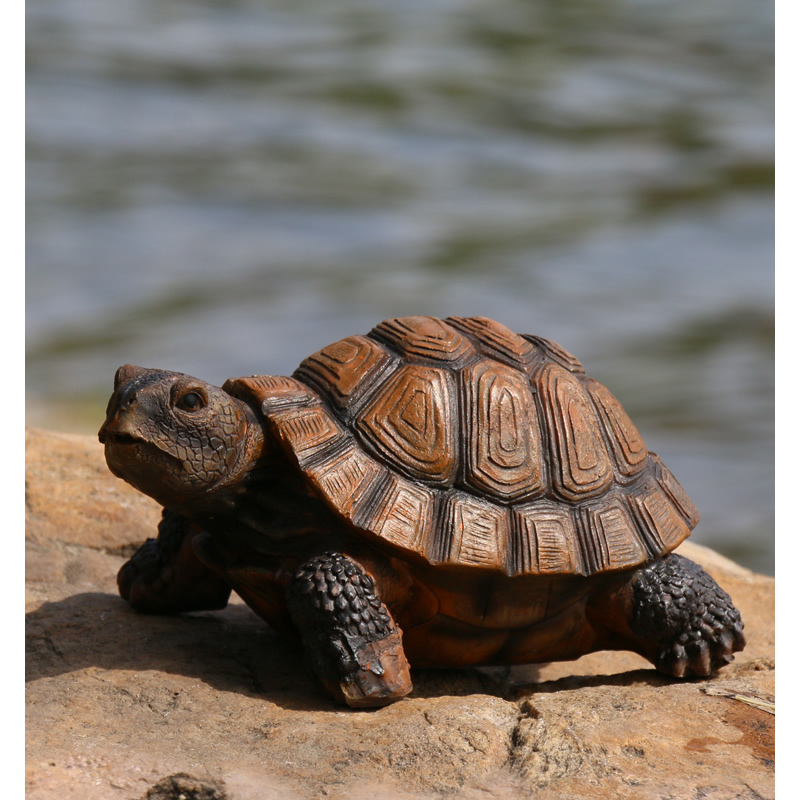 Bonita estatua de tortuga de r - Bonsai Garden With Pond reseña y precio