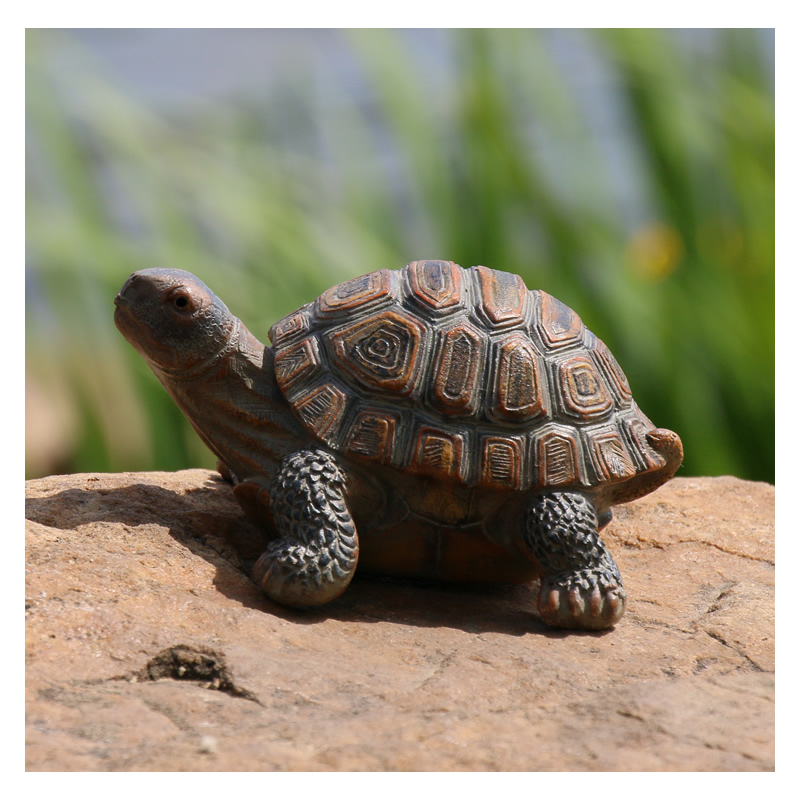Bonita estatua de tortuga de r - Bonsai Garden With Pond reseña y precio
