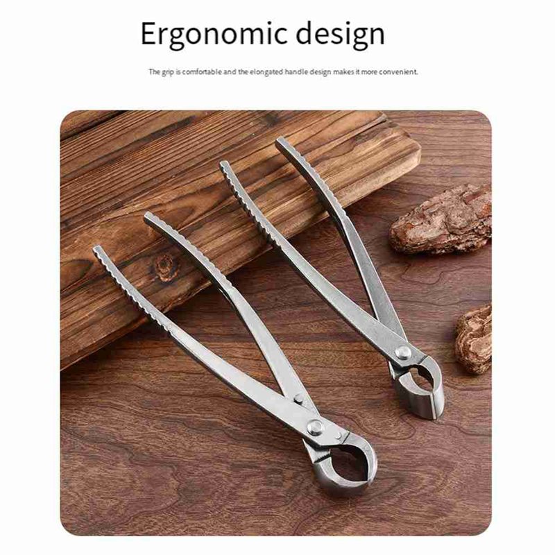 Herramientas para árboles bons - Root Hook Tool reseña y precio