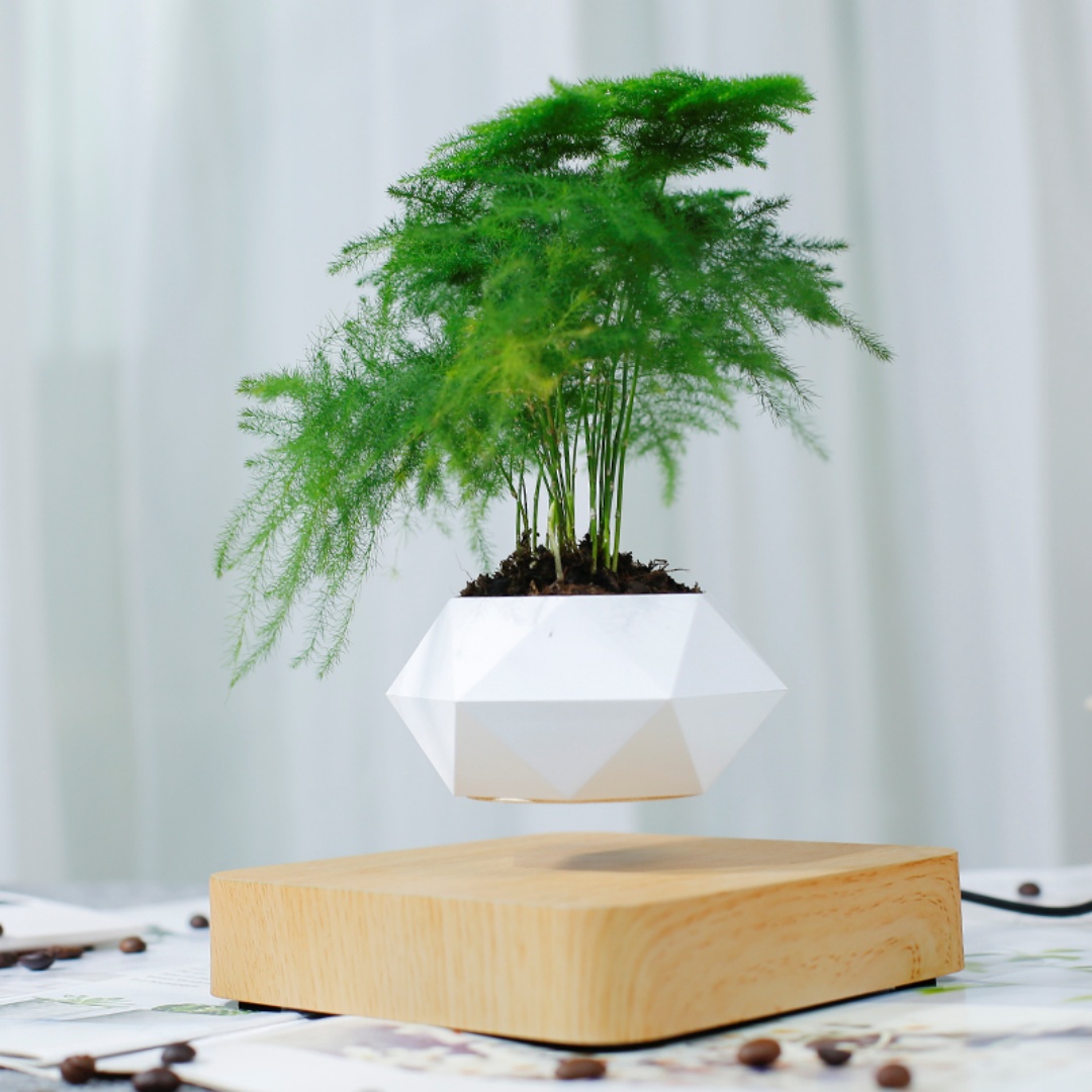 Maceta de bonsái con efecto de - Bonsai Garden Chinese Garden reseña y precio
