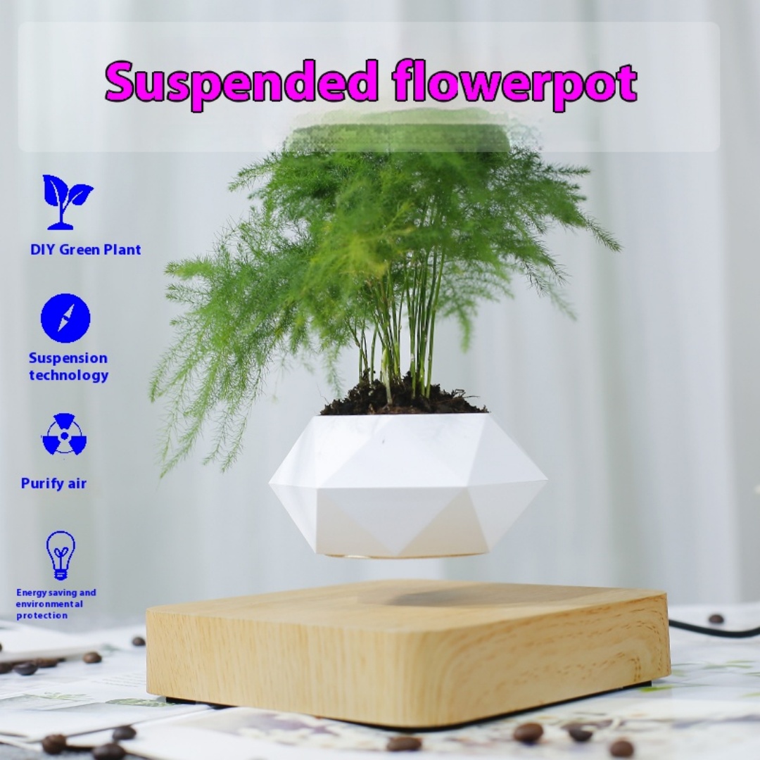 Maceta de bonsái con efecto de - Bonsai Garden Chinese Garden reseña y precio