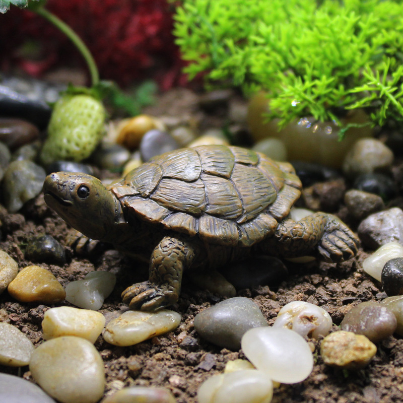 Estatua de Resina de Tortuga P - Bonsai Garden With Pond reseña y precio