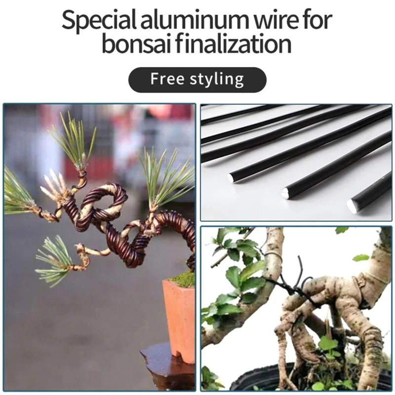 Alambre para bonsái de 5m, sop - Bonsai Garden Accessories reseña y precio